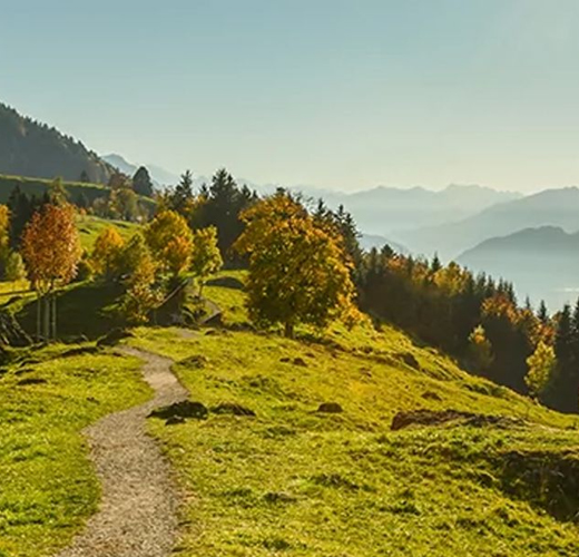 Veelzijdig en overtuigend: de nieuwe Hurricane