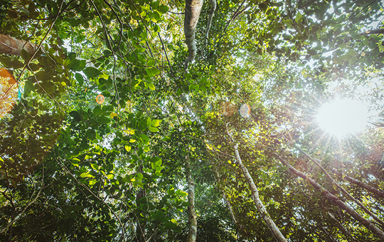 Maatschappelijke verantwoordelijkheid 