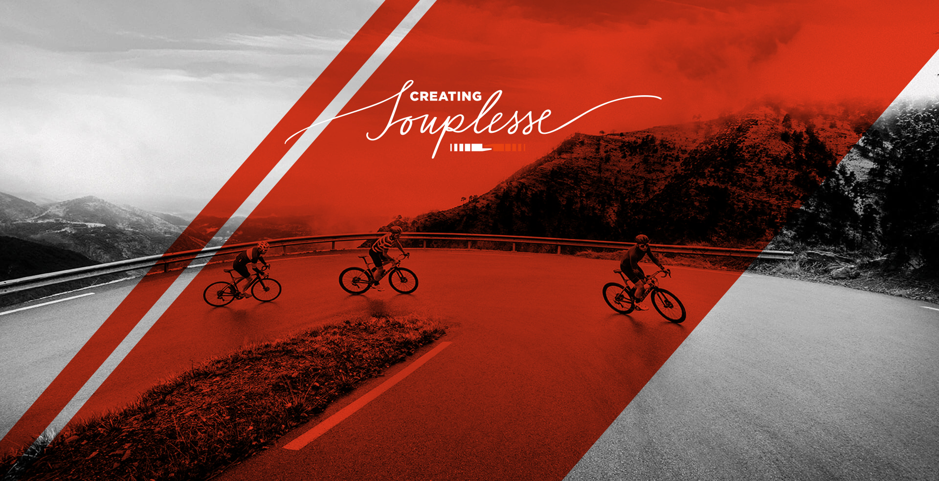 DE NIEUWE SCHWALBE PRO ONE